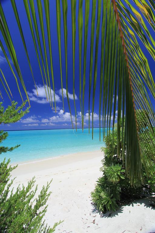 Relax Residence Thoddoo Maldives Εξωτερικό φωτογραφία